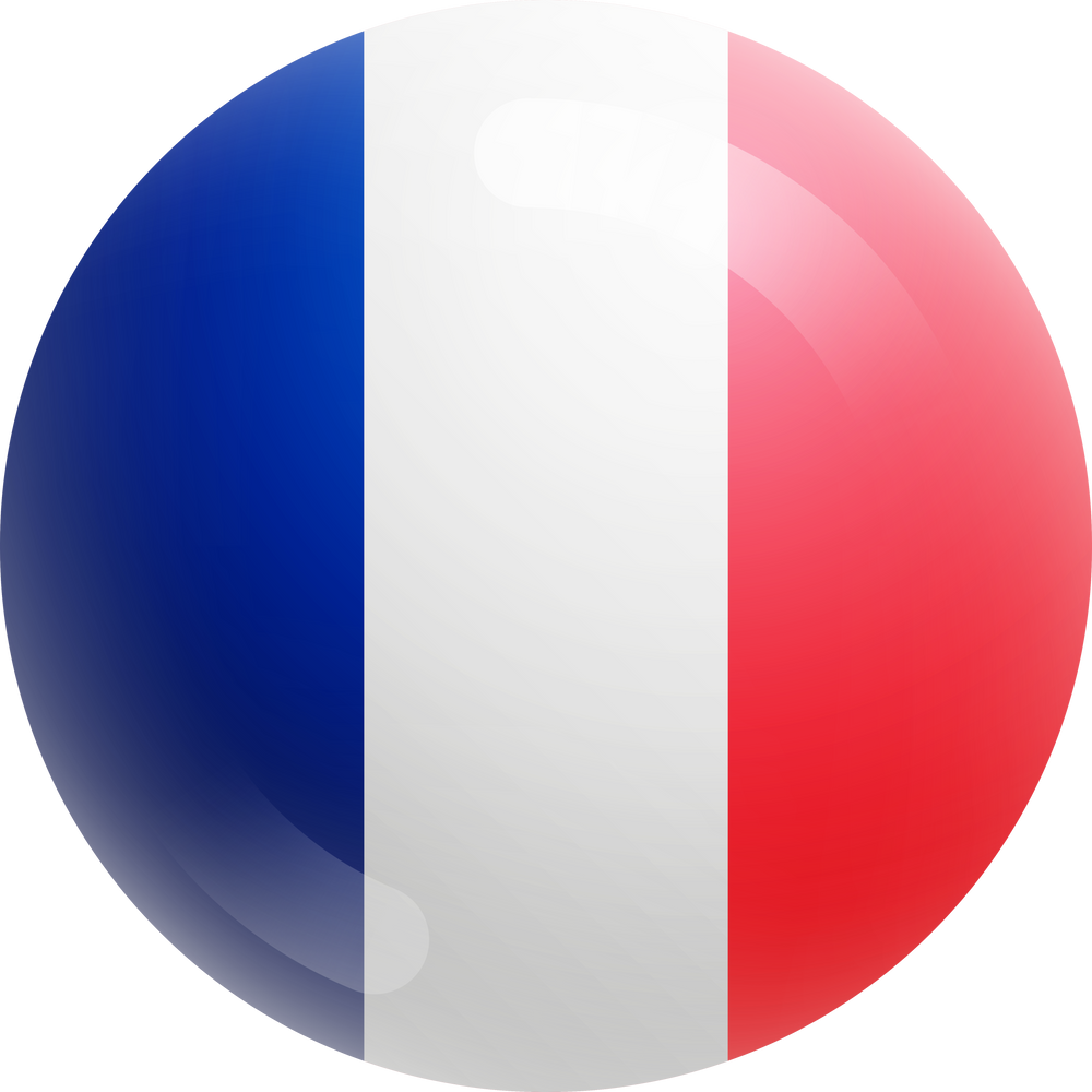 3D Circle Flag of France 